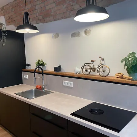 Apartment Loft Inmitten Der Altstadt *